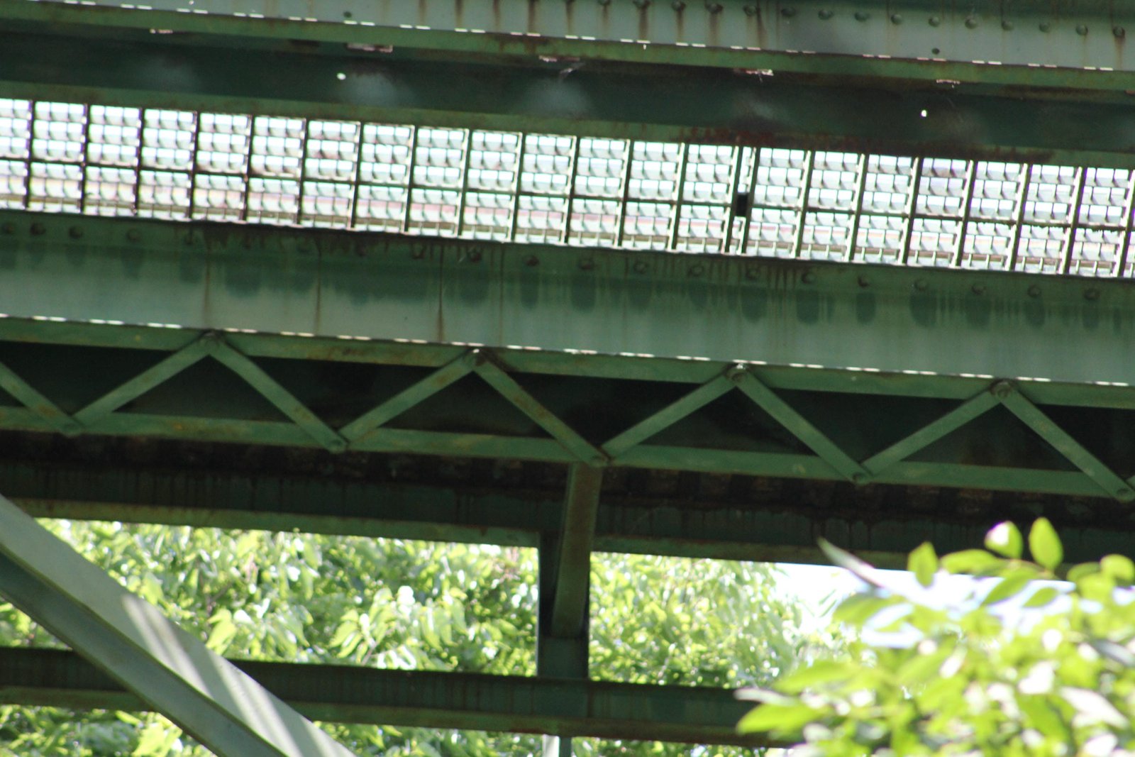 Top chord, main span